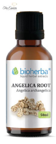 Radice di Angelica, Tintura 50 ml, Bioherba