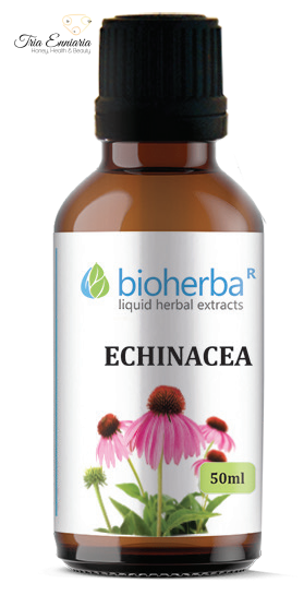 Echinacea - Βάμμα Βοτάνων, Bioherba, 50 ml