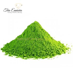 Matcha, gemahlener grüner Tee, 100 g
