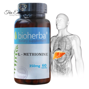 L - Méthionine, 350 mg, 60 Gélules, Bioherba