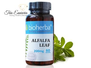 Αλφάλφα - φύλλο μηδική, 200 mg, 60 Κάψουλες, Bioherba 