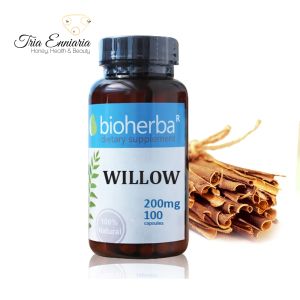 Willow Bark, 200 mg, 100 Capsules, Bioherba