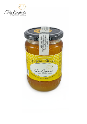 Пчелен мед, натурален, Плодов, 450 гр.