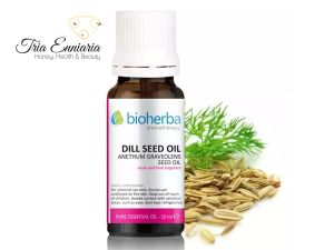 Dill, reines ätherisches Öl, 10 ml, Bioherba