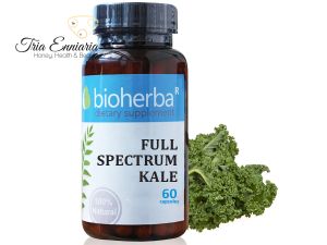 Kale, 370 mg, 60 capsule, Bioherba