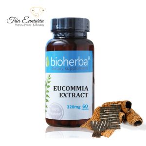 Extrait d'eucomia, 320 mg, 60 gélules, Bioherba