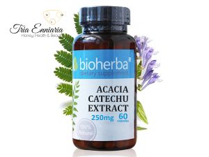 Extrait d'acacia catechu, 250 mg, 60 gélules, Bioherba