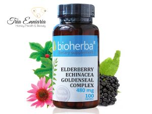 Holunderbeere, Echinacea, Hydrastis, 480 mg, 100 Kapseln, Bioherba