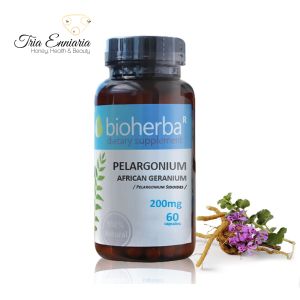 Pelargonium, 200 mg, 60 capsule, Bioherba