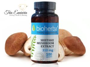 Estratto di funghi Shiitake, 310 mg, 100 capsule, Bioherba