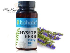 Hysope, 330 mg, 100 Gélules, Bioherba