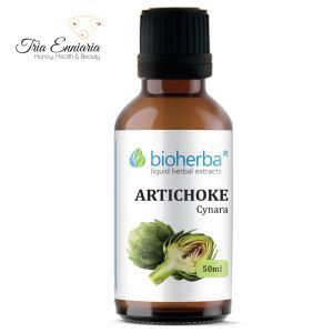 Artichoke Tincture, 50 ml, Bioherba