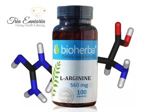 L-Arginina, 560 mg, 100 Capsule, Bioherba