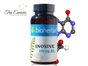 Inosin, 430 mg, 60 Kapseln, Bioherba