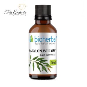 Babylon Willow Tincture, 50 ml, Bioherba