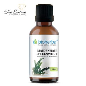 Maidenhair Spleenwort Tincture, 50 ml, Bioherba