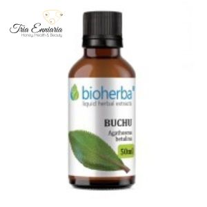 Teinture de feuilles de Buchu, 50 ml, Bioherba
