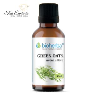  Πράσινη Βρώμη Βάμμα, 50 ml, Bioherba