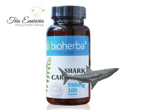 Акулий Хрящ, 550 мг, 100 Капсул, Bioherba