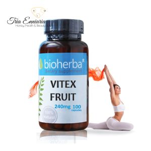 Fructe Vitex, 240 mg, 100 capsule, Bioherba