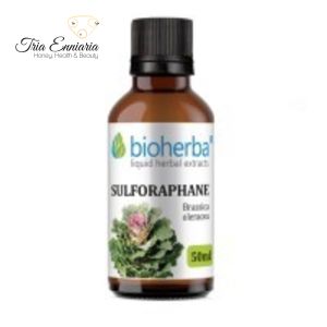 Sulforaphan aus Brokkoli-Tinktur, 50 ml, Bioherba