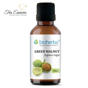 Grüne Walnuss-Tinktur, 50 ml, Bioherba