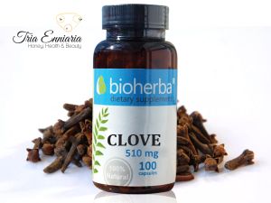 Clou de Girofle, 510 mg, 100 Gélules, Bioherba