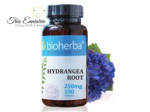 Racine d'hortensia, 250 mg, 100 gélules, Bioherba