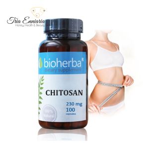 Chitosane, 230 mg, 100 gélules, Bioherba