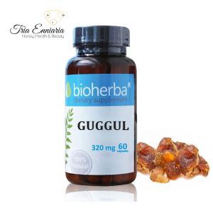 Guggul, 320 mg, 60 gélules, Bioherba