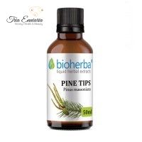 Pine Tips Tinctura, 50 ml, Bioherba