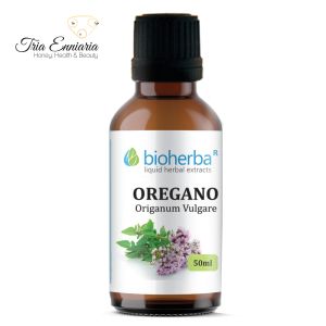 Oregano-Tinktur, 50 ml, Bioherba