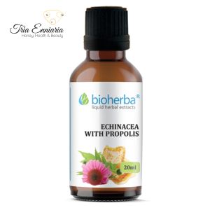 Echinacea- und Propolis-Tinktur, 20 ml, Bioherba