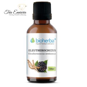 Eleutherococcus (Siberian Ginseng) Tincture, 50 ml, Bioherba 
