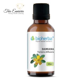 Damiana-Tinktur, 50 ml, Bioherba