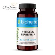 Tribulus Terrestris, ανθρώπινη υποστήριξη, 100 κάψουλες, Bioherba