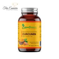 Curcumin, standardisierter Extrakt 95 %, 60 Kapseln, Zdravnitza