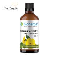 Tribulus Terrestris, Φυτικό Βάμμα , 100 ml