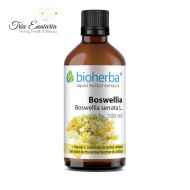 Tintura Boswellia, 100 ml, Bioherba