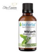 Wild Garlic Tinctura, 50 ml, Bioherba