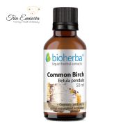 Tintura di corteccia di betulla, 50 ml, Bioherba