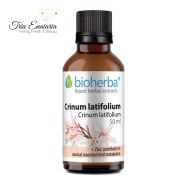 Teinture Crinum Latifolium, 50 ml, Bioherba