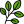 Herbs - Leaves (Medicinal Leaves)