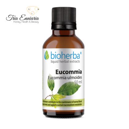 Eucomia Tinktur, 50 ml, Bioherba