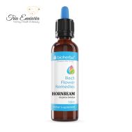 Hornbeam, Bach Flower Remedies, 50 ml, Bioherba